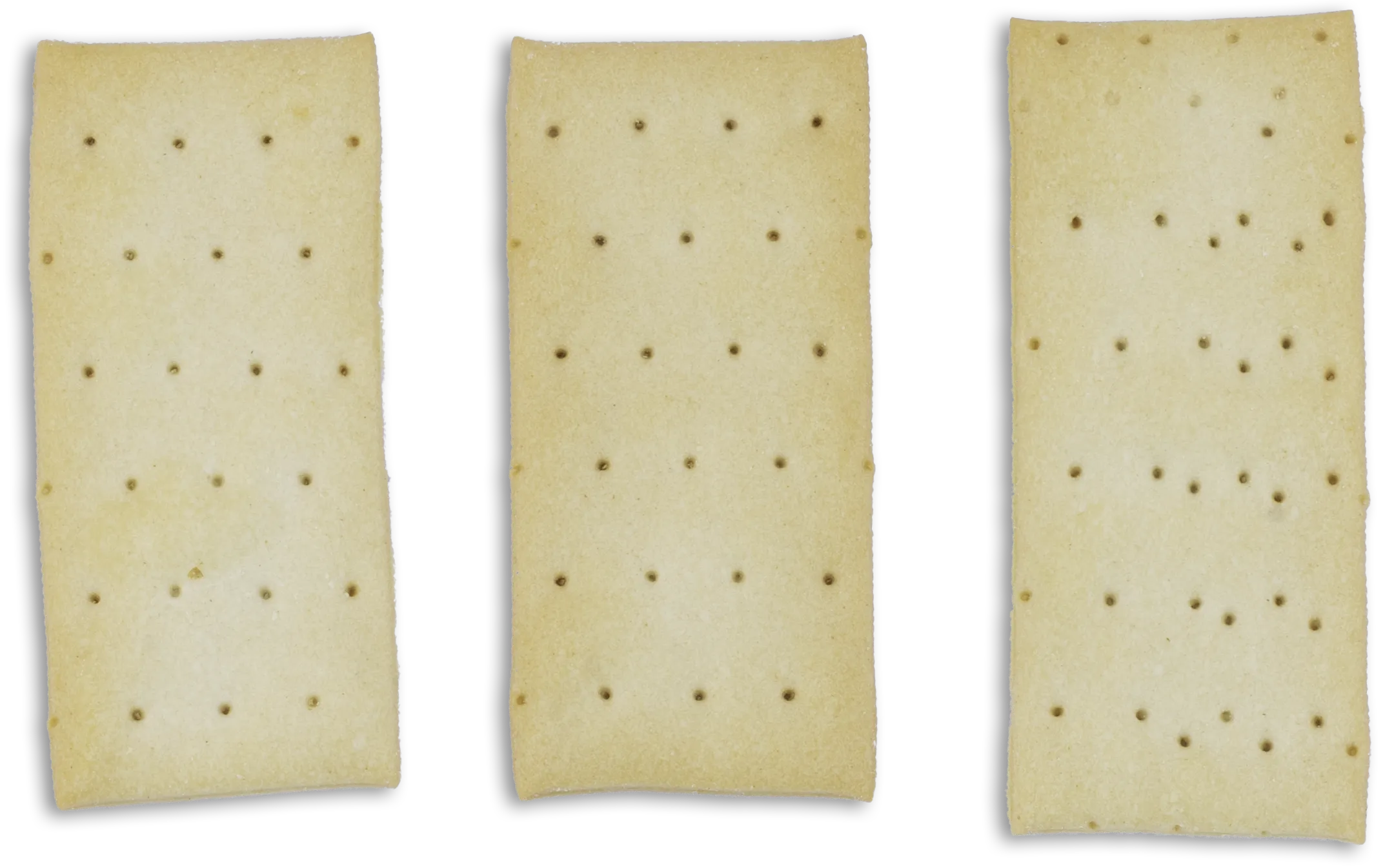 galletas alargadas con sal galletas alargadas con sal