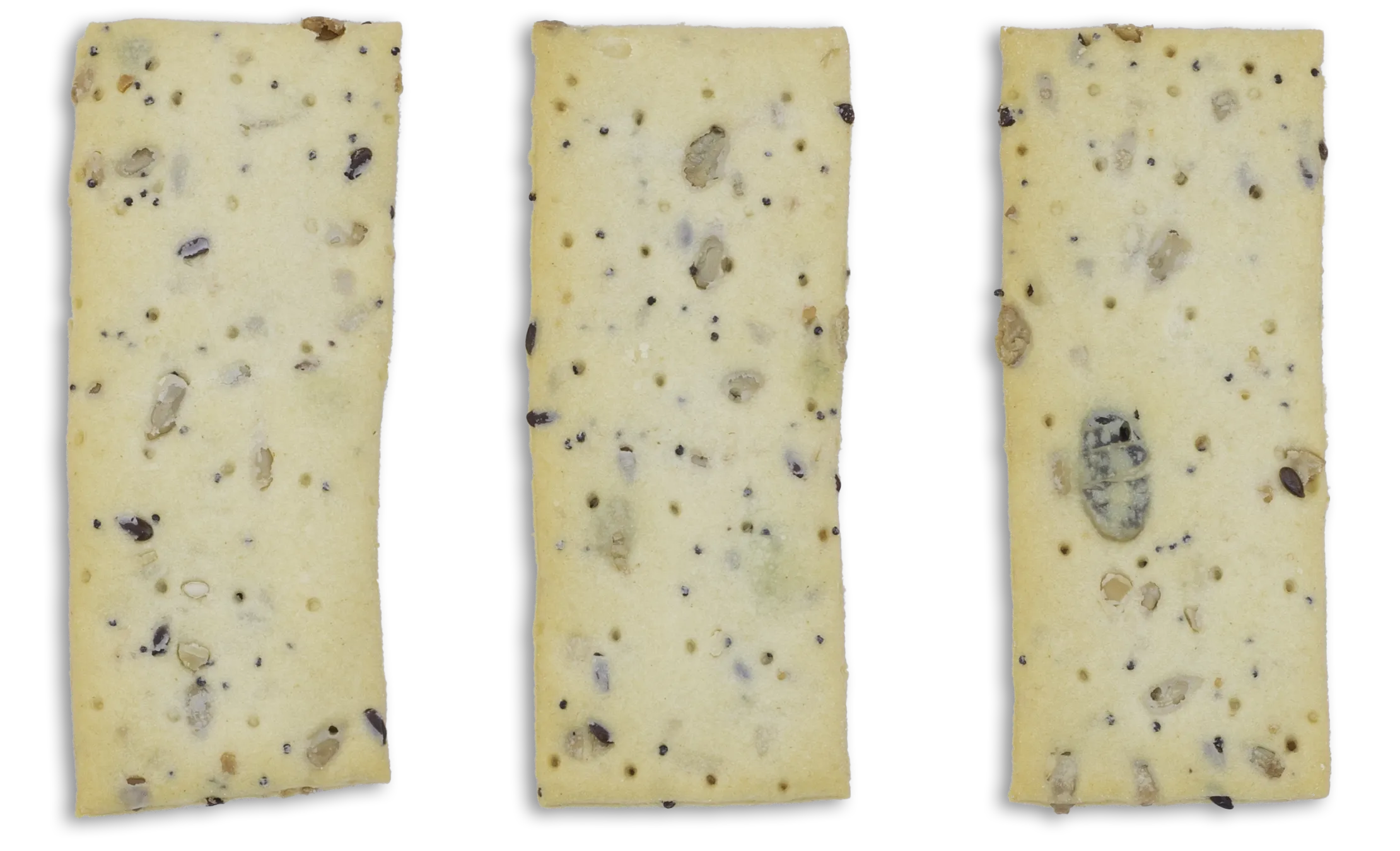galletas alargadas con semillas galletas alargadas con semillas