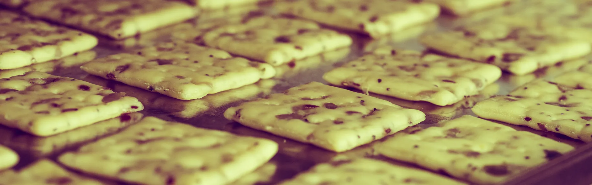 galletas-cerbi galletas crackers Cerbi